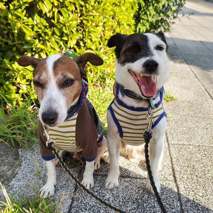 36de7ce8 c75a 4ba8 8cca ad16f78c36fa 1753653239304