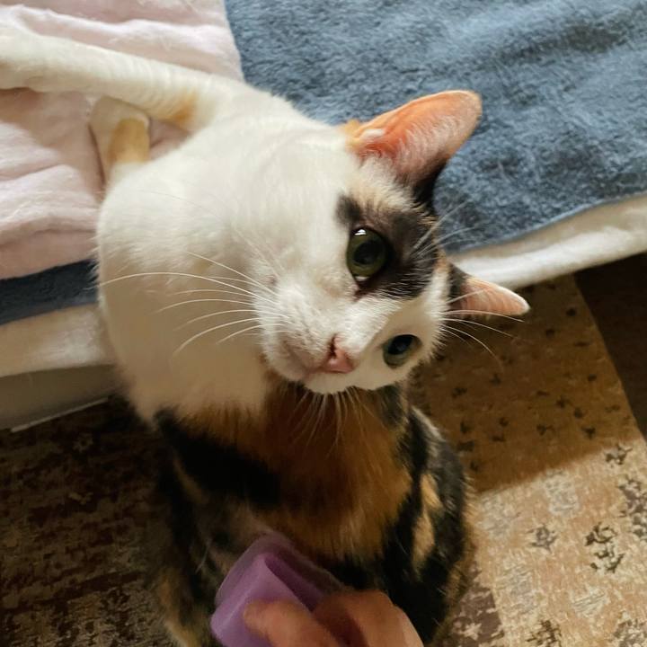 36decbcb 2da9 41c2 b10d a54fdfc3565d 1632625105970