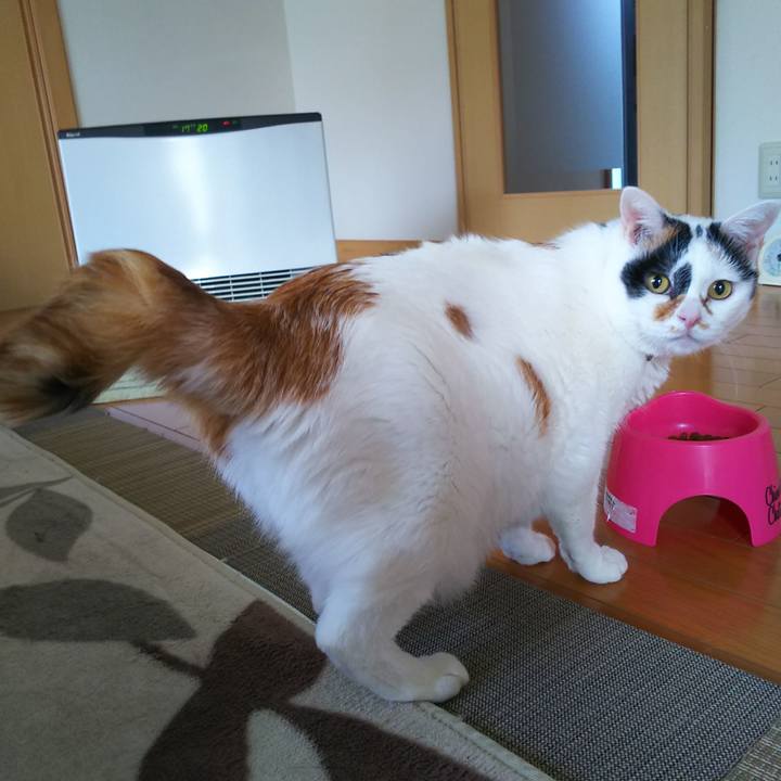 36df0d6c daae 486e 8c27 668cace88509 1575072088478