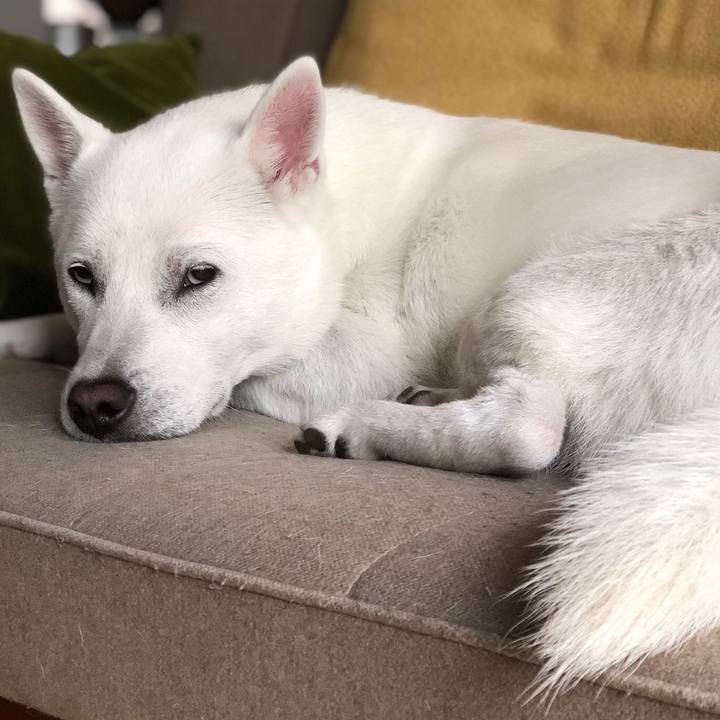 36df1752 b6e6 4cc2 8547 8d3d12017e97 1551578202125