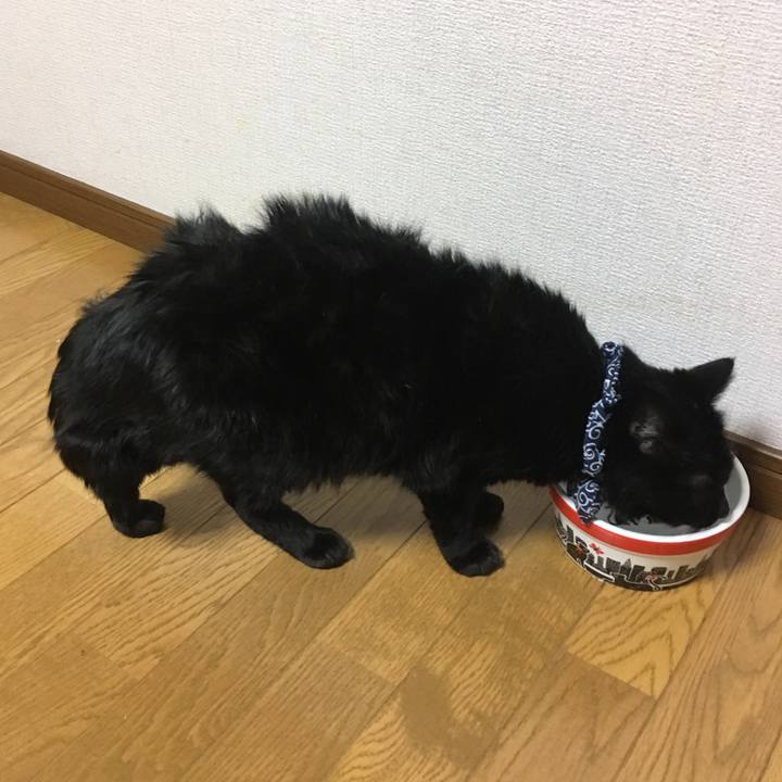 36df1925 8650 465f 9c94 c9679cee7095 1545044437278