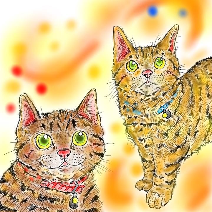 36df3621 e289 408d 88fb 9b5a24df337f 1575822205612