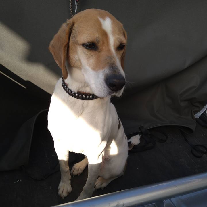 36df6acc 5bc8 486b 9e8c 0aeed329854a 1650094016949