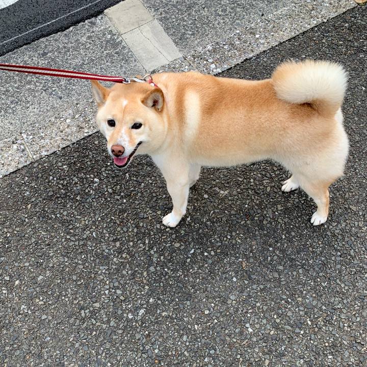 36df9bd9 deeb 4c1f 8838 c26a50496a1d 1621811004280