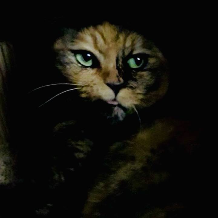 36dfdb14 97e8 411f 8667 ba77c7793f3d 1759782373487