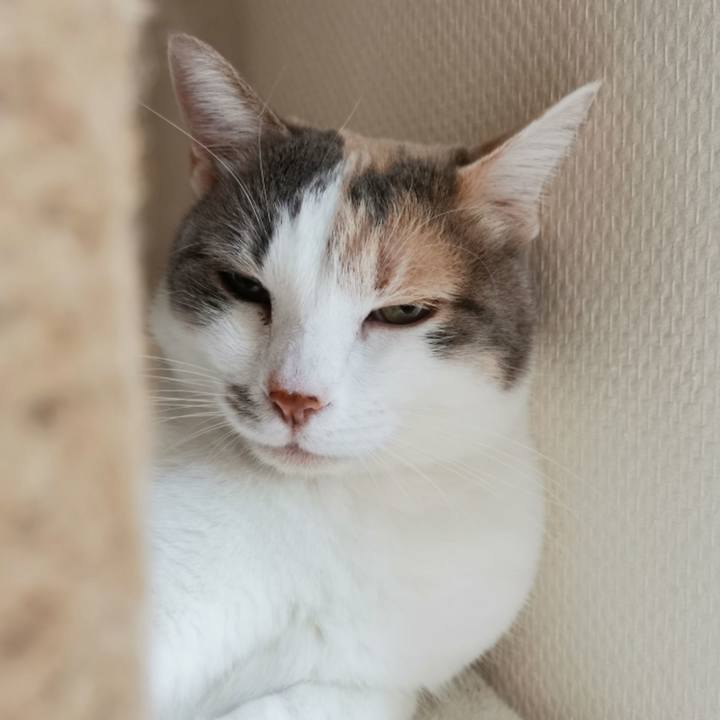 36dff23c 3ee3 4055 994e 32db7aa06d46 1647923030718