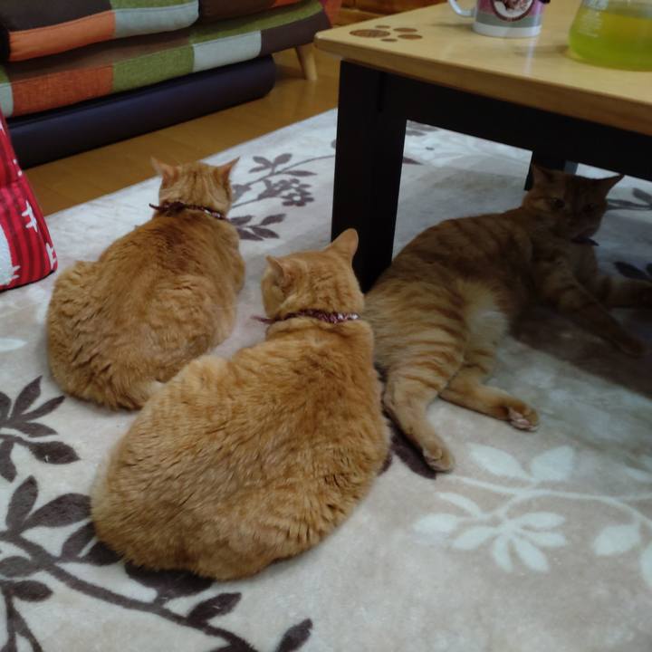 36e002f6 d785 4ddc bf9f 2d98a84673ec 1634732619806