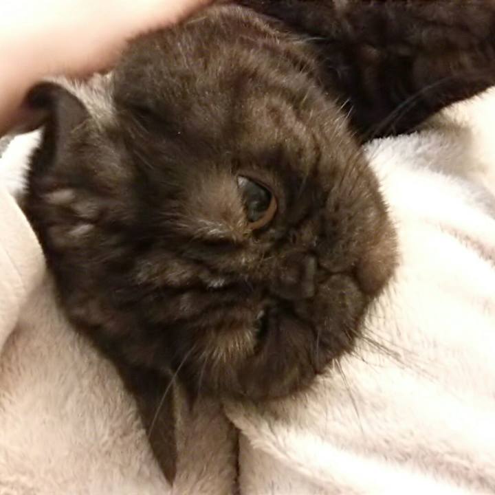 36e01891 e760 47a8 b9cb b55b26c0ca0f 1521255880035