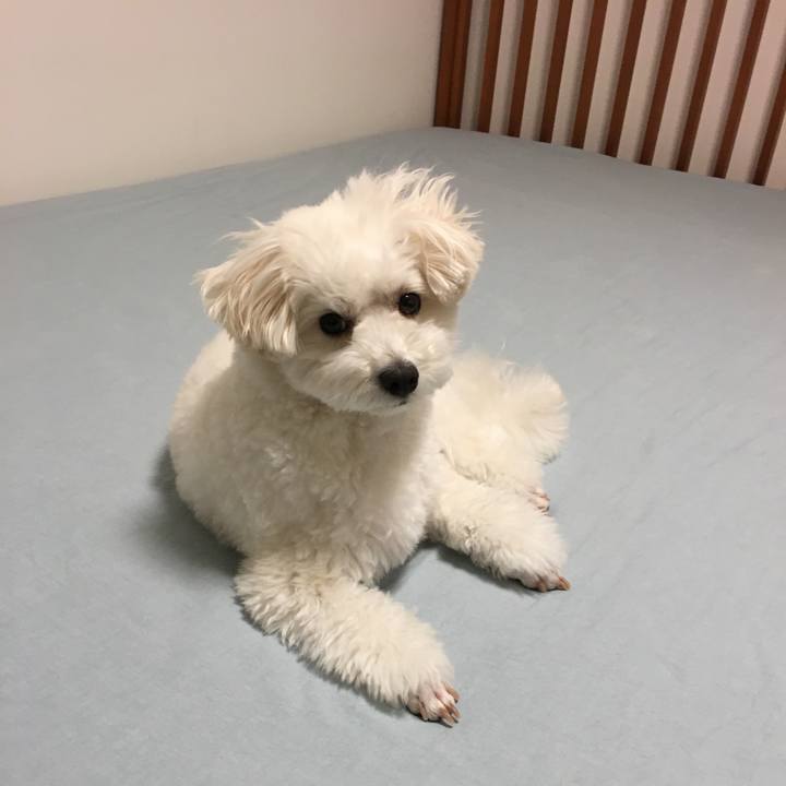 36e01be5 ab68 4d14 bb5f e125d41e1376 1557234891898