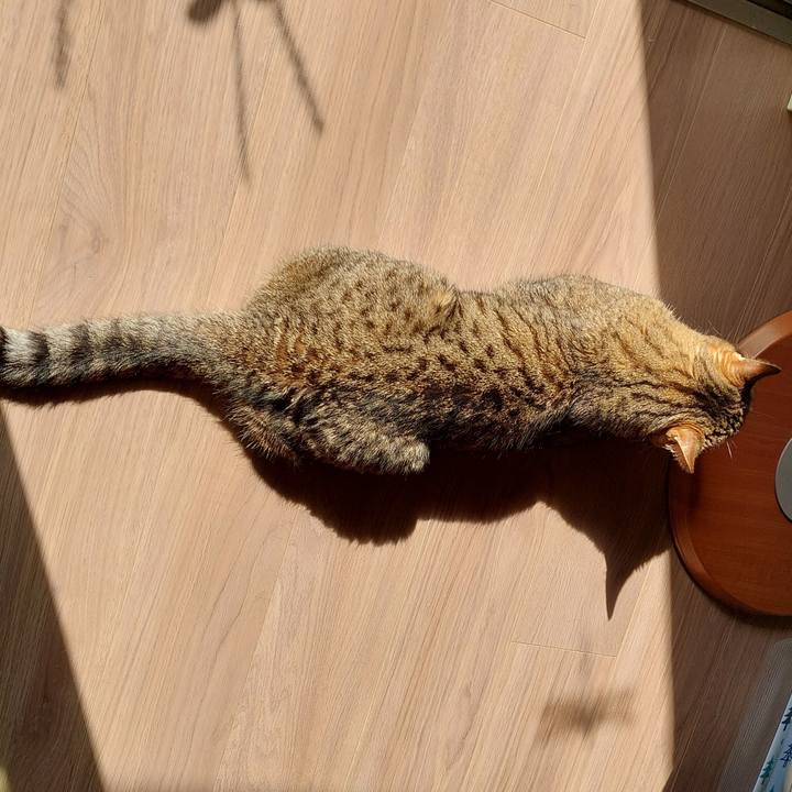 36e02dc9 65d9 4906 9414 45a9a1f48cf4 1760747560633