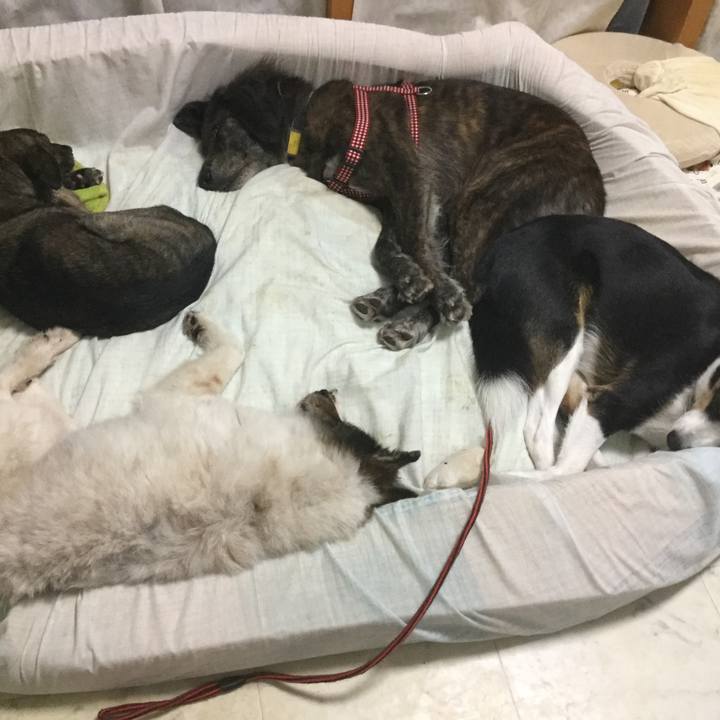 36e03771 3c3b 4678 b00d 0f5513d00531 1607654808020