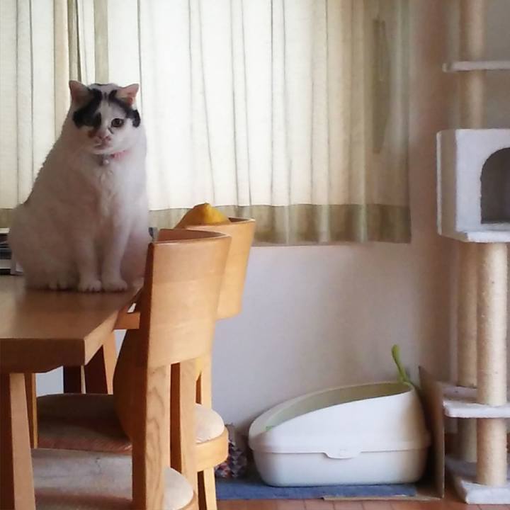 36e06d35 ad89 46dd 98cf df7892c75f81 1569105351432