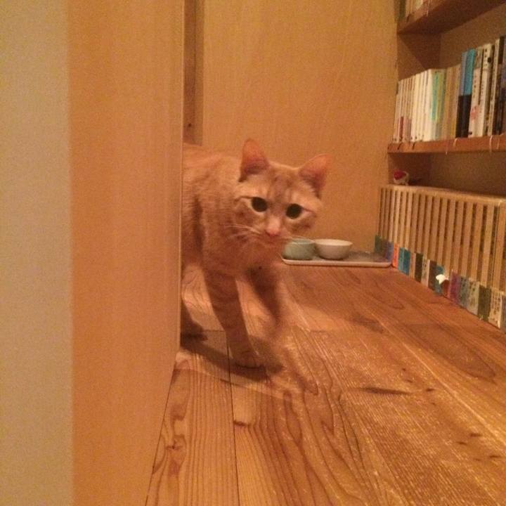 36e08322 b869 4a28 9ce9 331f9a2f48a2 1524747809744