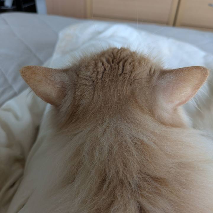 36e0897b 66b8 4ecd a2b4 1470fe20a9a0 1745546246409