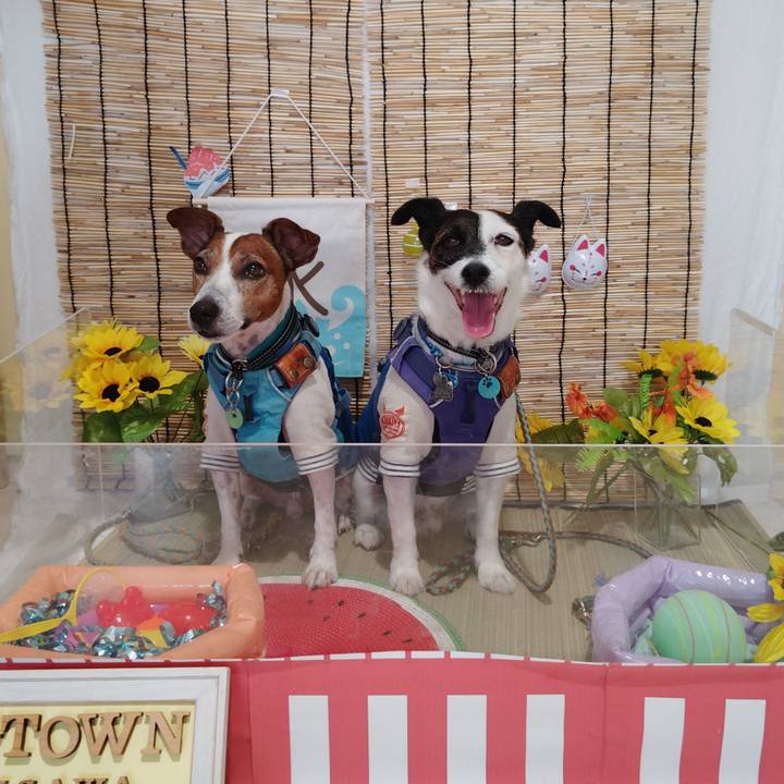 36e09c12 661e 474e 9eec 1cfac7c38558 1725701085356