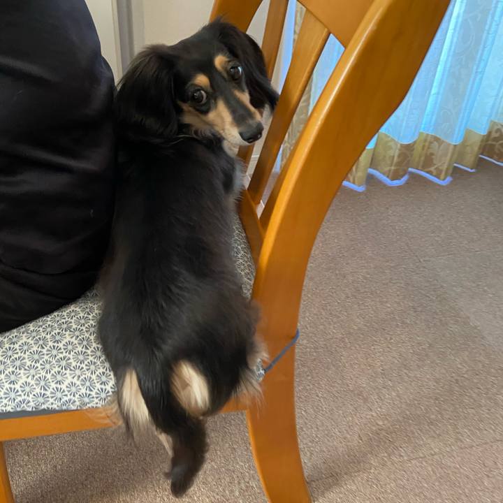 36e0d179 6e3a 4ede 8262 610d9a342fce 1757115596627