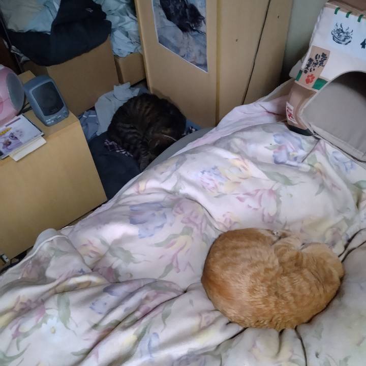 36e0fb4f a610 414d 9989 2383ae8b40a9 1682464279721