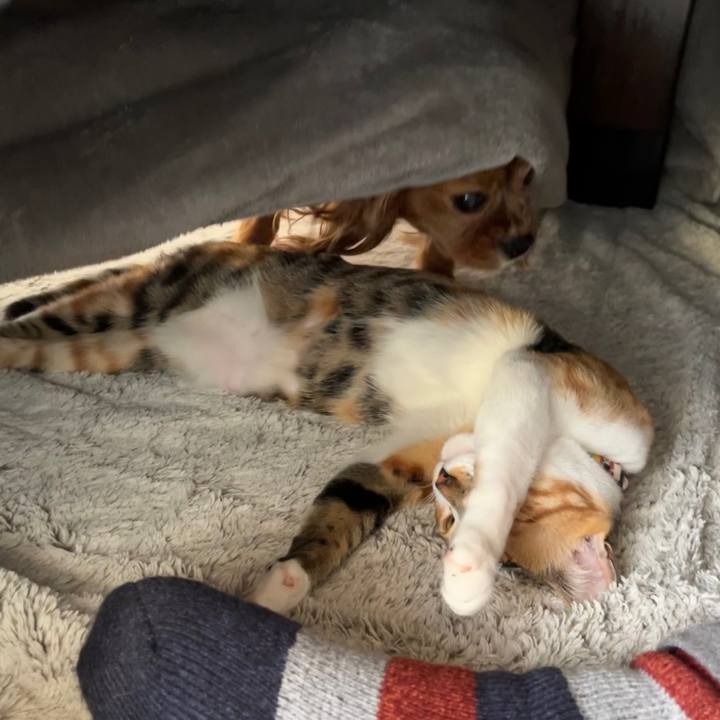 36e13162 2a4e 4338 a49e b600ecdd1bda 1671238951831