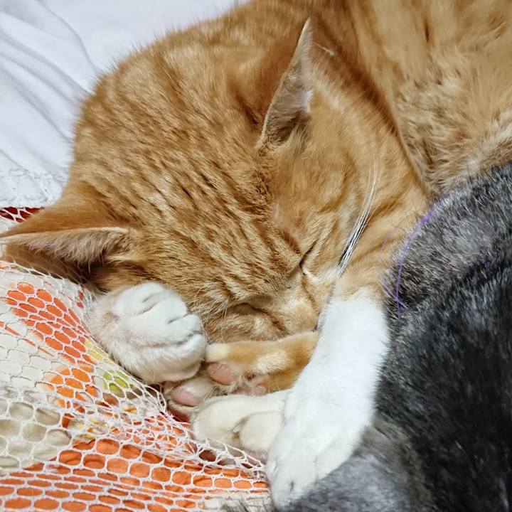 36e13cfc 4d57 45d2 b62f 7787a158325c 1581165673430