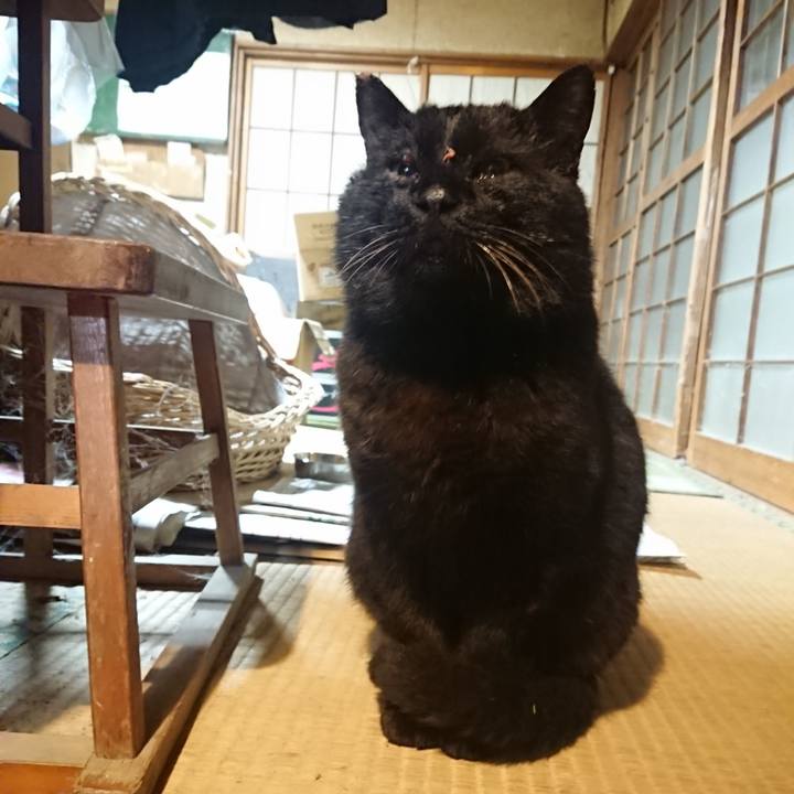 36e144b4 dc43 4b88 9163 4cf59afb8e12 1616326224542