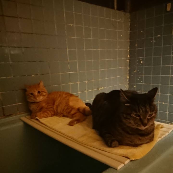 36e1768a bbbd 4b17 9973 2764b22d61a7 1655295977771