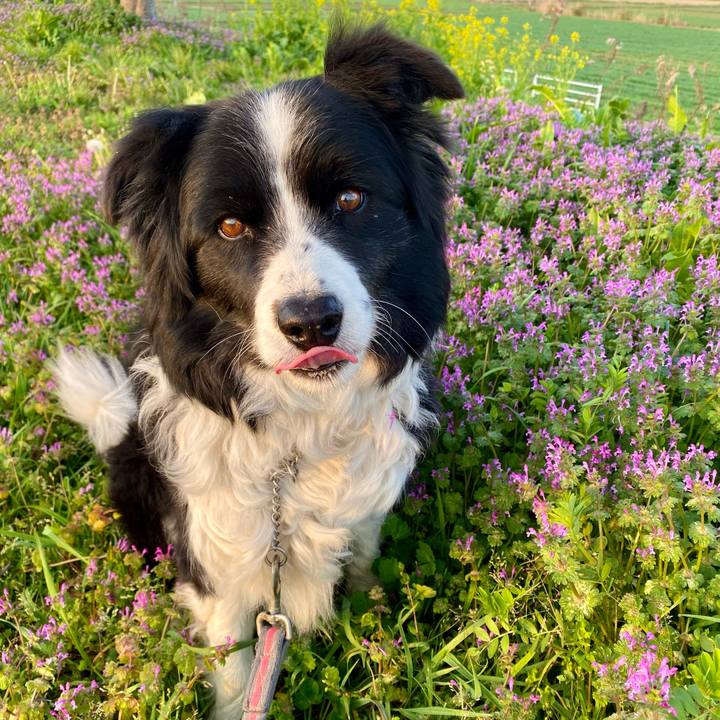 36e19aea 36f1 4185 9b01 4d24b6d9cd15 1614120765917