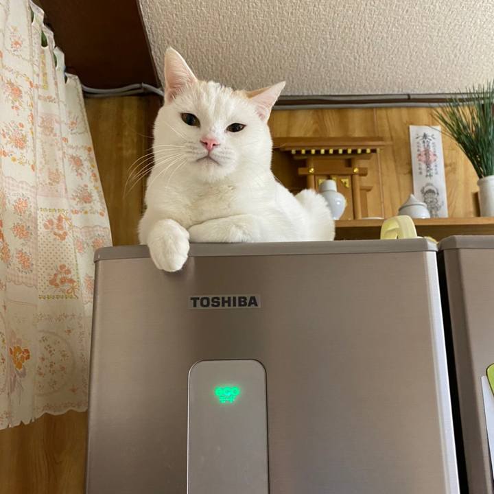 36e1af7f 0e9e 4054 ae77 b9960d1100f4 1645452450346