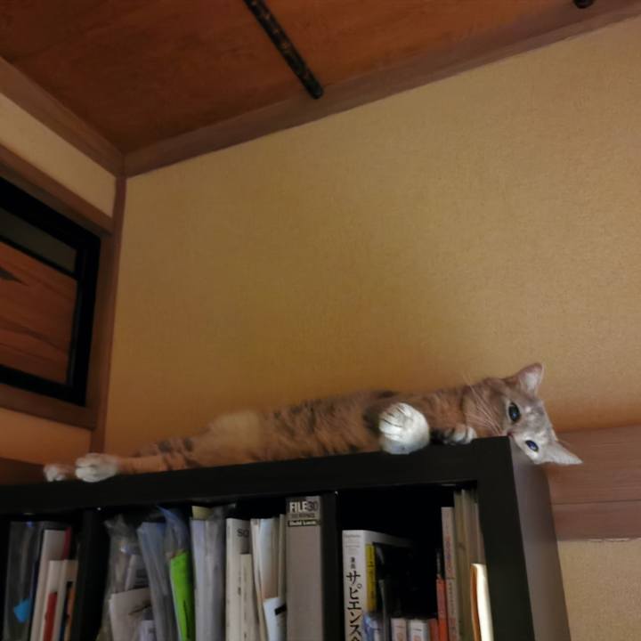 36e1b398 026f 4e13 84ee 6d62f03c344a 1631368859708