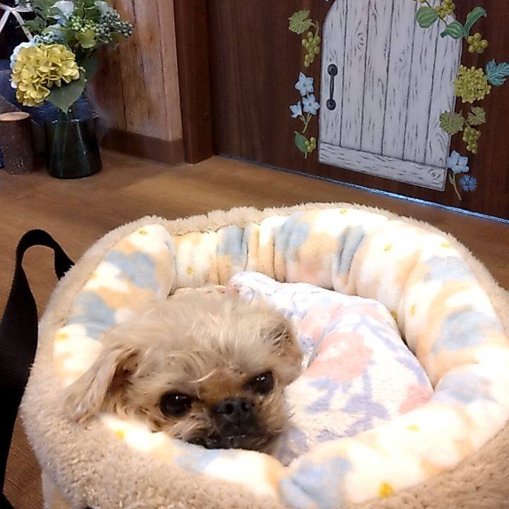 36e1f6a7 fc2a 4bec a5a1 a55a38a11474 1749603224604