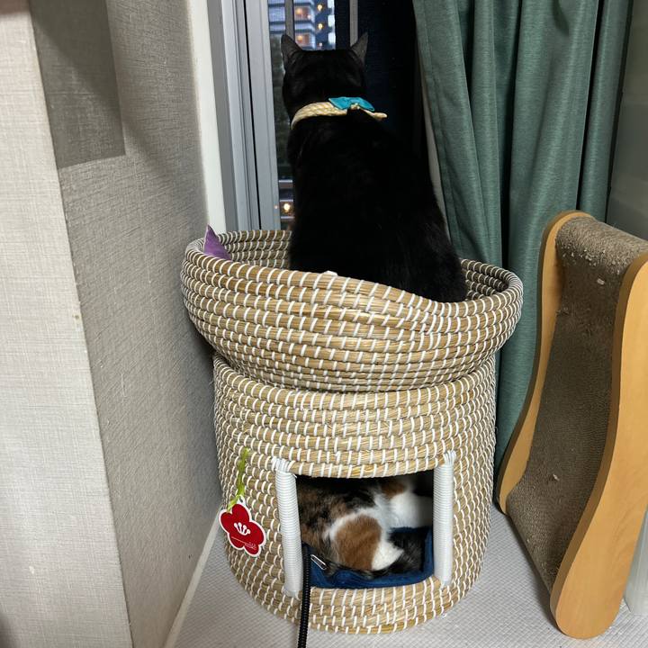 36e24416 9c70 4a57 b330 44ec98cca8f6 1761291974274