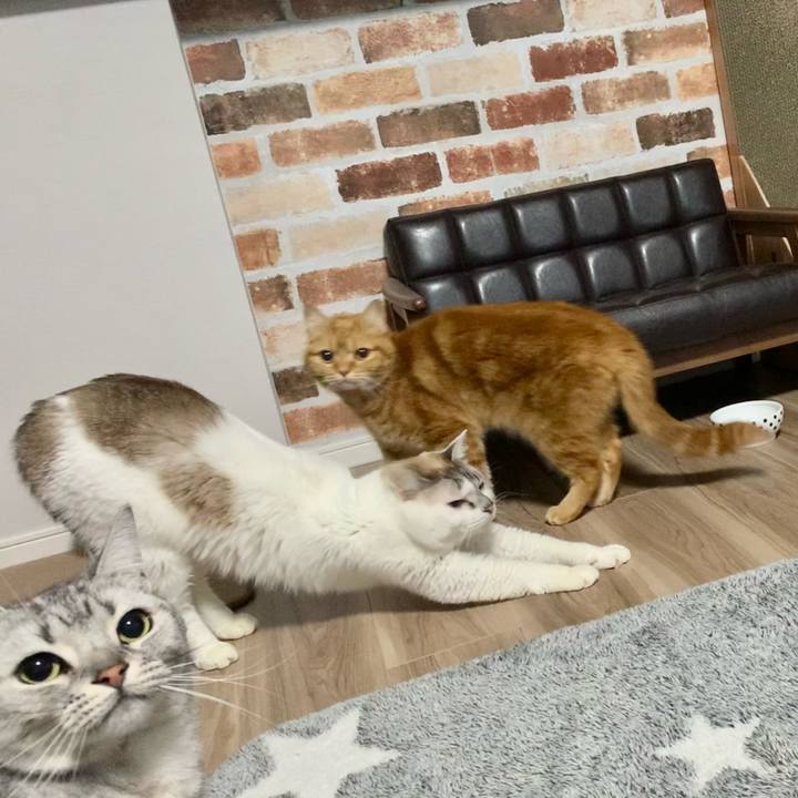 36e2624f f6d7 4e07 9914 849caed04b6d 1642259380347