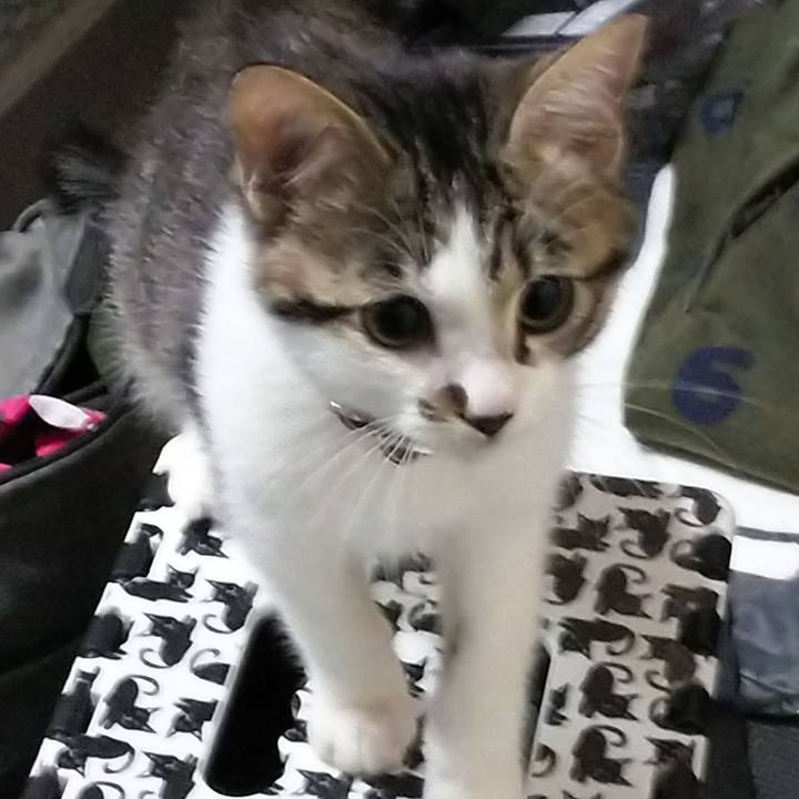 36e26820 e3f6 48ed 9c5a c764aae140e4 1610109569242