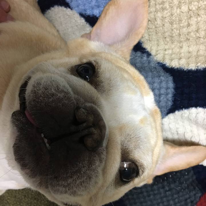 36e297cf ff8a 444d 9c4f a8e05938d9e1 1510405146037