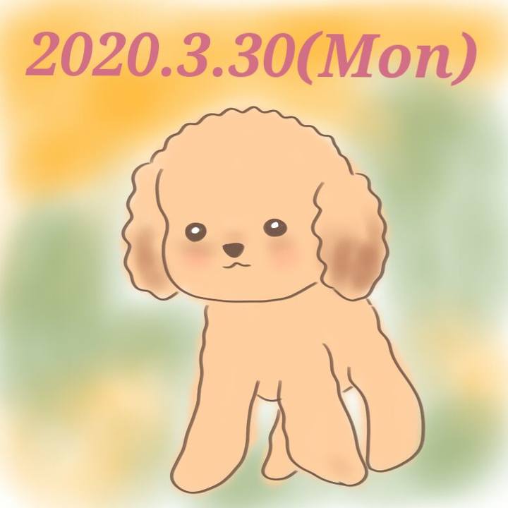 36e30a4f f821 4666 9f82 b56fc18fadf6 1585575516939