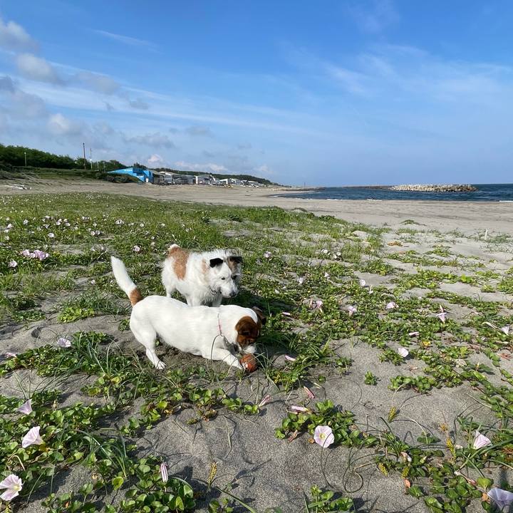 36e30bdb 9525 408b 9838 1dc81b1d4d9b 1749687526379