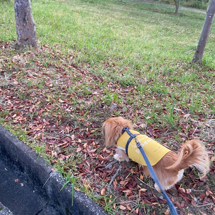 36e3132f d987 48bc b6ec 72e9b04627ab 1636581278480