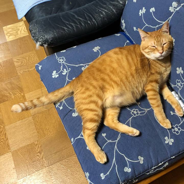 36e32b13 8761 43c4 a140 f83a80cee439 1564707744850