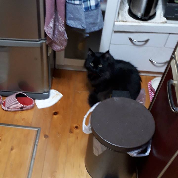 36e3d290 1b0f 487b a3e6 6564c4a5ec9d 1519761447811