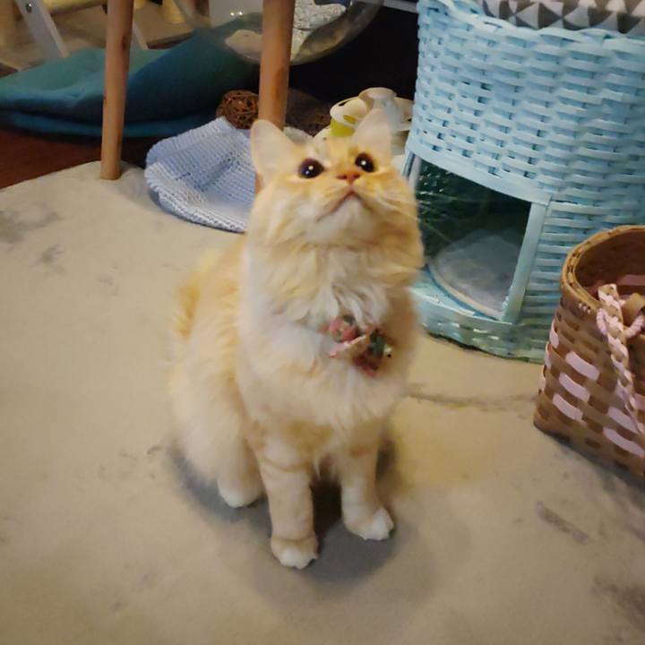 36e3e127 b4d6 4d04 8152 a29707164321 1668035982291