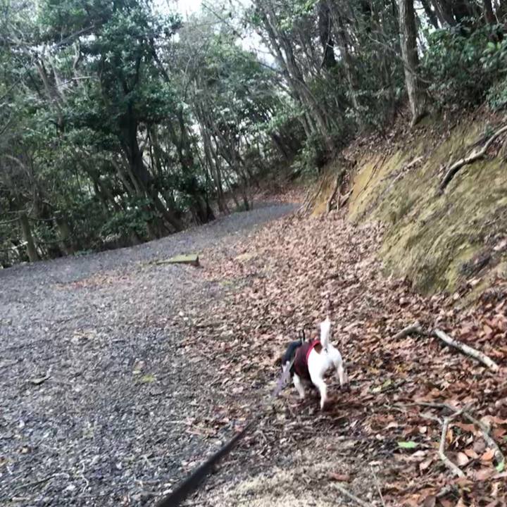 36e3e4ff 0b38 469e a1d3 02420a1bc6e5 1553328143307