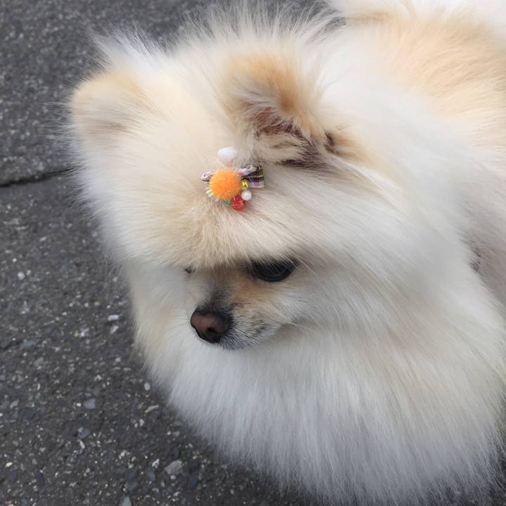 36e3e694 9232 4edb 87b1 1f16c6652693 1554704938185