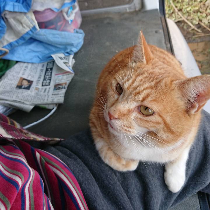 36e3e7d4 0c28 48b3 b580 d5521ed9d06d 1581750165484