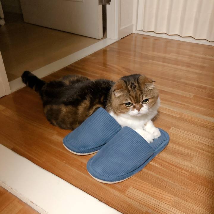 36e3faea e04b 4f73 9e27 242f17b9324c 1600186380426