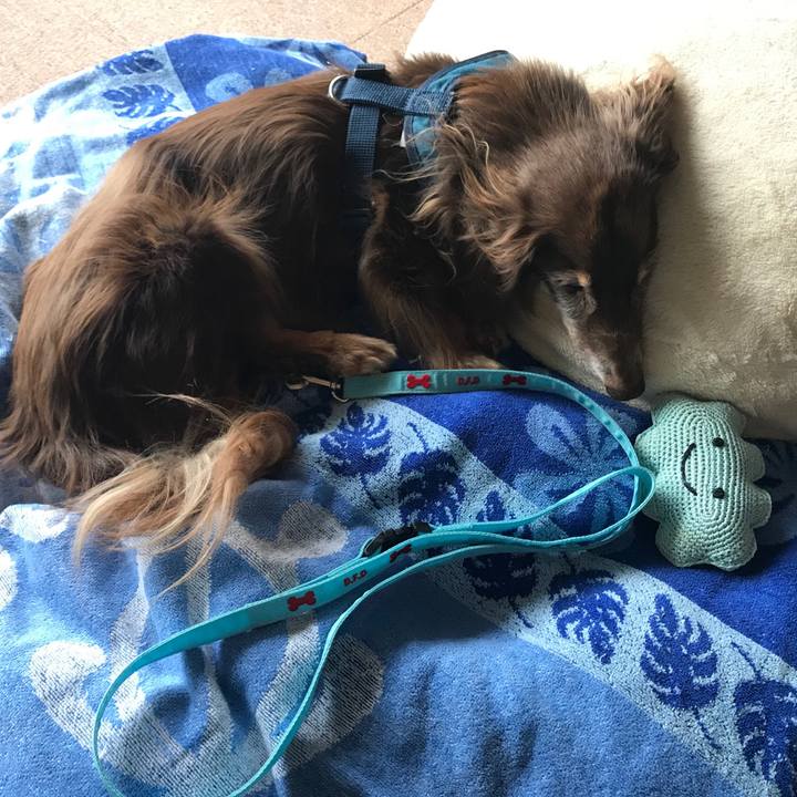 36e414db 416b 4b55 ab26 d56cbcff8806 1599346866539