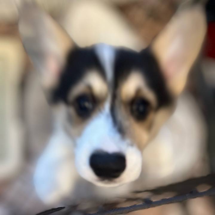 36e42e74 7a86 45c6 a685 c5af228ec628 1769038988915