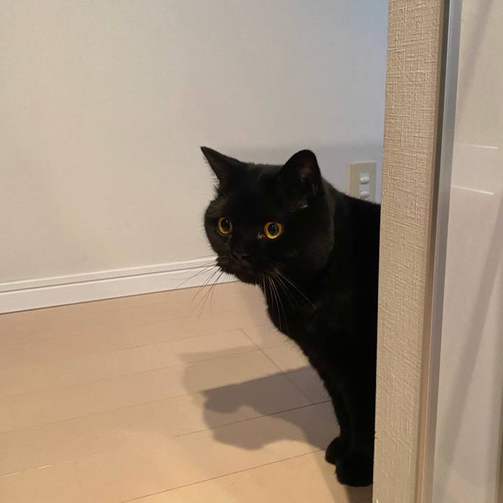 36e44623 bb91 4af1 99b0 934374bb67d5 1755866825701