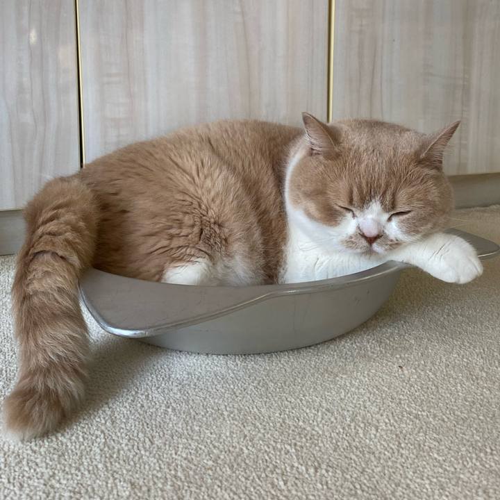 36e45850 29f6 4336 8835 15f05cb97c99 1656895170442