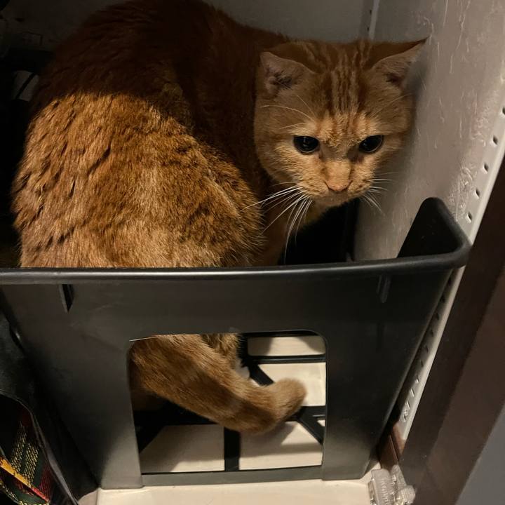 36e476df 6d14 4e34 89a6 4f87ca169967 1662169327730