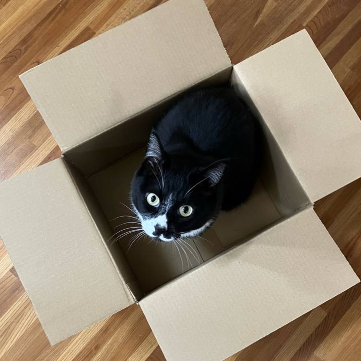 36e49e6f f74b 4b5e 82bf de64a2e99e6d 1752031524370