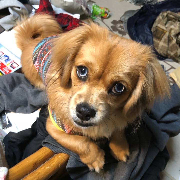 36e49f54 b484 4924 b3c9 7f5e3e62e036 1513114909222